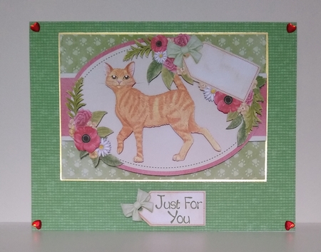 Ginger Cat by Roseanna Miles
