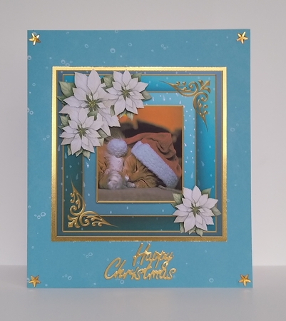 Christmas cat quick card  by Roseanna Miles