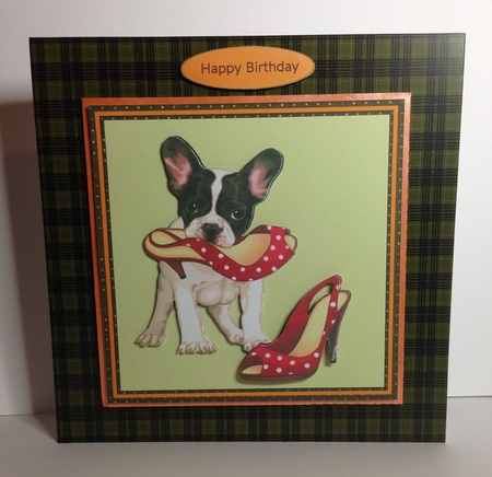 The Dogs New Shoes by Roseanna Miles
