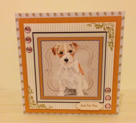 Beautiful Jack Russel by Roseanna Miles