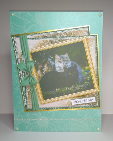 NEW TWISTED FRAME MULTI SENTIMENT CATS GREY / BLACK by Roseanna Miles