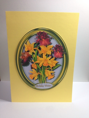 Beautiful Daffs and Bearded Irises by Roseanna Miles