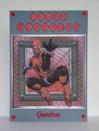The Amazing Spiderman 1 by Roseanna Miles