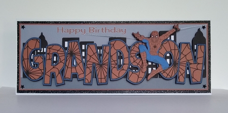 Spiderman GRANDSON large dl by Roseanna Miles