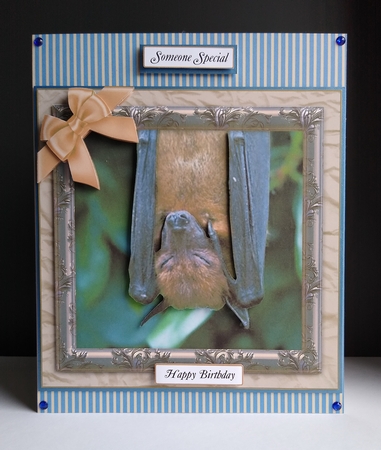 BAT 2 MULTI SENTIMENTS by Roseanna Miles