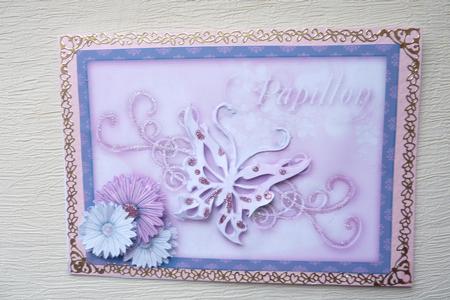 Papillon by Rosina Walker
