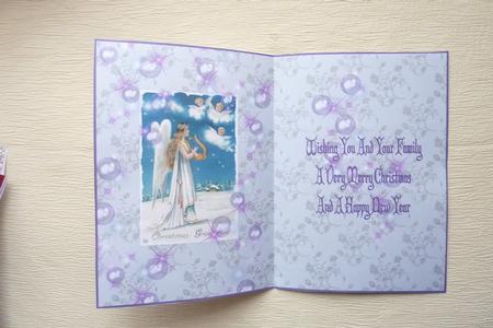 Fairy Dust Insert by Rosina Walker
