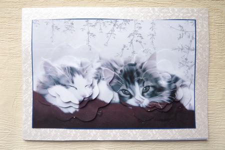 Cute Cats 4 by Rosina Walker