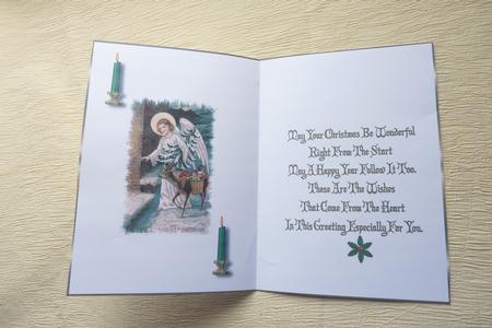 Christmas Vintage Reindeer Insert 1 by Rosina Walker