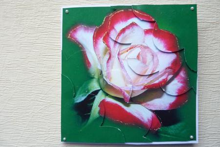 The Rose Duel Corner Stacker by Rosina Walker