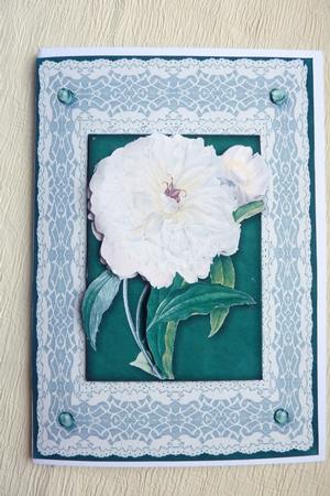 Cream Flower Quick Card by Rosina Walker