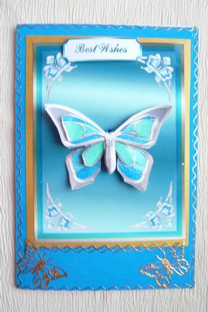Birthday Butterflies Step by Step by Rosina Walker