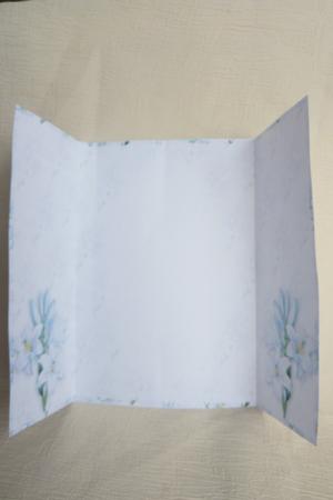 Blue Lilly Gatefold Insert by Rosina Walker