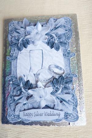 For Your Silver Wedding by Rosina Walker