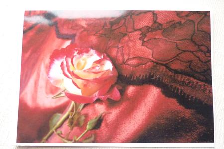 Rose & Black Lace A4 Topper by Rosina Walker