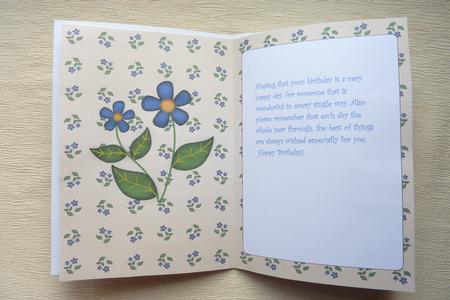 Dark Blue Flowers Insert (cream) by Rosina Walker