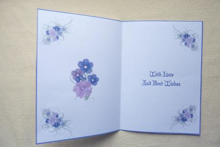 Flowers Insert by Rosina Walker