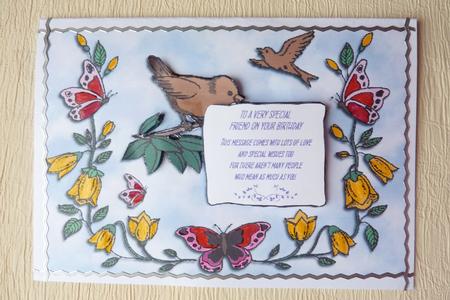 Butterflies and Birds by Rosina Walker