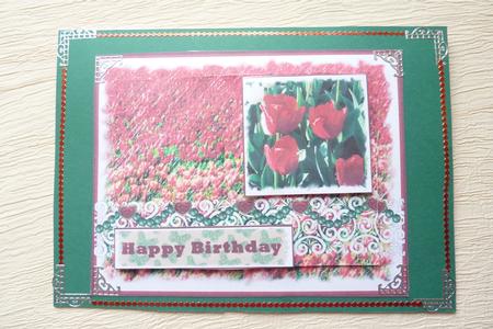 Red Tulips by Rosina Walker