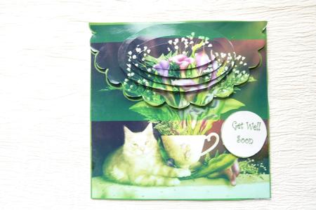 Scalloped and Oval Cats by Rosina Walker