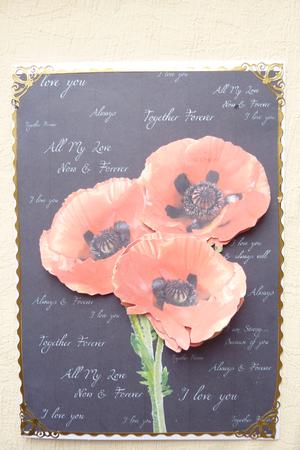 Poppy Trio & Words Step by Step by Rosina Walker