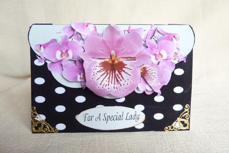 Black and White Spot Shell Half Circle Orchids and Lace One by Rosina Walker