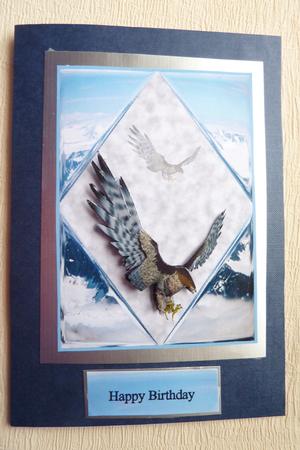 Flying from the Mountains by Rosina Walker