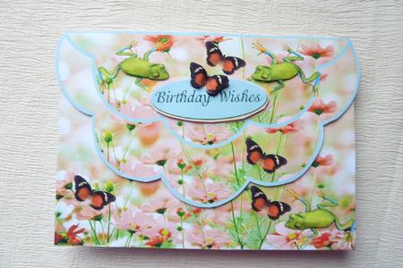 Frogs All Over Quick Card Birthday Wishes Thinking of You by Rosina Walker