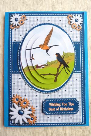 Barn Swallows by Rosina Walker