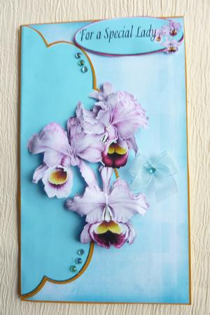 With Sympathy for a Special Lady Best Wishes by Rosina Walker