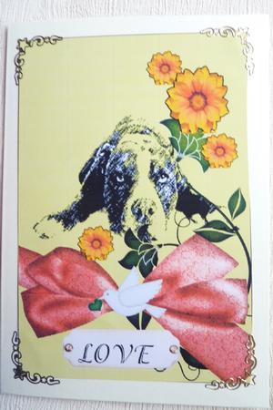 Sympathy Card on the Death of a Dog by Rosina Walker