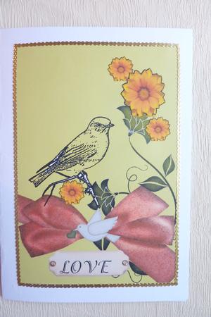 Death of Bird Poem for a Friend by Rosina Walker