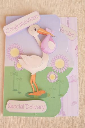 Stork and Baby Girl Card Front by Rosina Walker