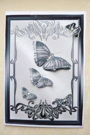 2 Butterfly Card Fronts by Rosina Walker
