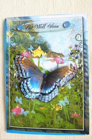 3D Ornament Butterfly Garden Card Sheet by Rosina Walker