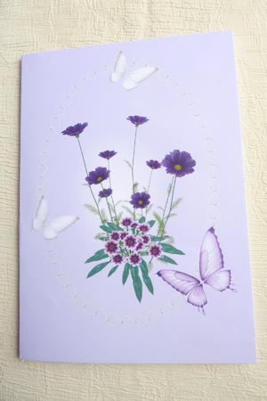 Flowers in Lace Frame with Butterflies by Rosina Walker
