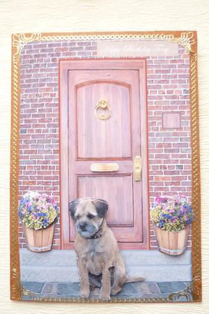 Border Terrier on a Door Step by Rosina Walker