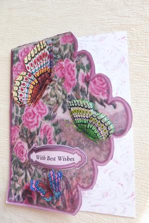 Pink Rose by Rosina Walker