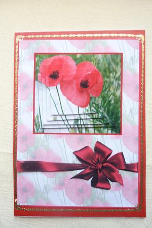 Stunning Poppy Cardfront by Rosina Walker
