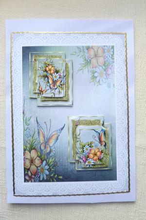 Double Pryamage Flowers by Rosina Walker