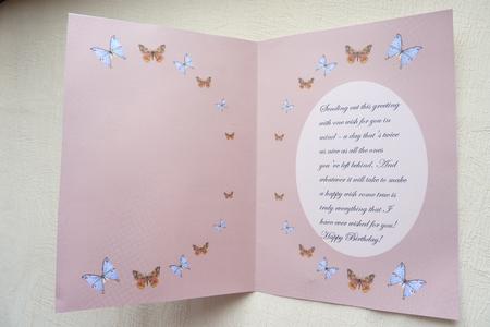 Glitzy Butterflies Insert by Rosina Walker