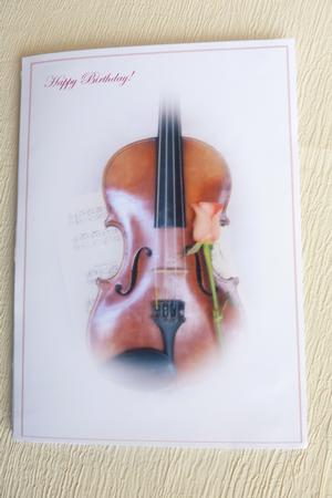 Violin and Peach Rose by Rosina Walker