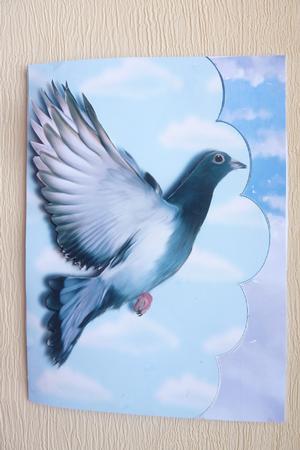 Homing Pigeon Scalloped Edge Card by Rosina Walker