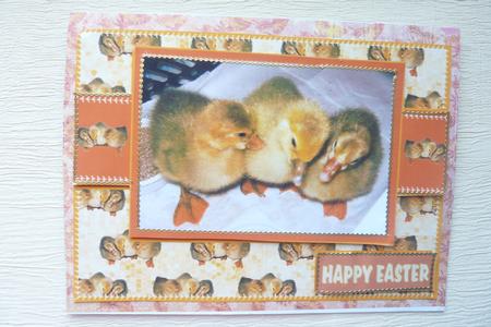Three Little Goslings by Rosina Walker