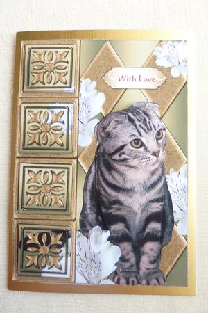 Cat at a Panel Various Occasions Card by Rosina Walker