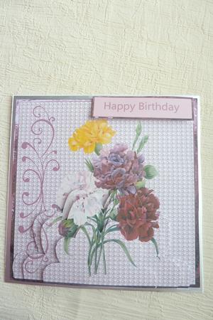 Various Carnations by Rosina Walker