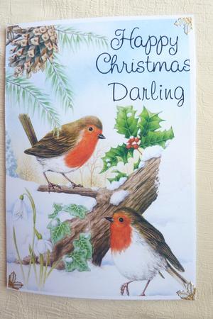Playful Robins in the Snow, A4 by Rosina Walker