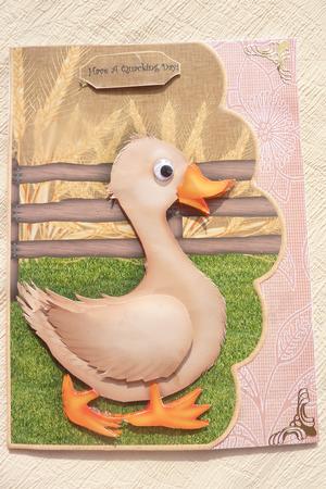 Little Duck Out on the Farm Scallope Curve Card by Rosina Walker