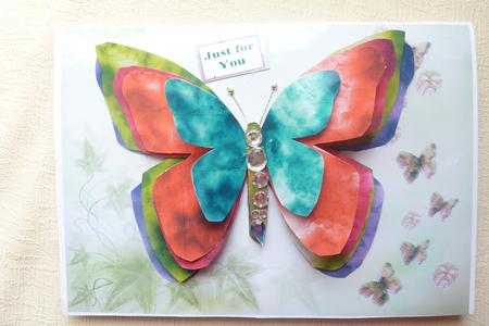 3D Butterfly Card Kit by Rosina Walker