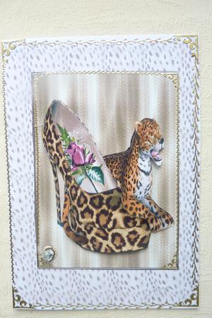 Tiger Shoes by Rosina Walker